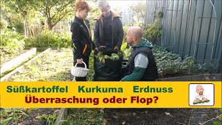 Die Überraschung aus dem Garten: Vergessene Pflanzen ernten!