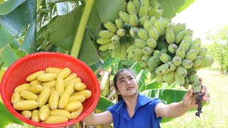 It is called '' Kramuon '' banana in my country / Harvest banana for my recipe