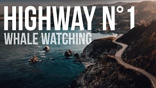 WHALE WATCHING – On our way on HIGHWAY 1