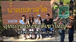 เมื่อวานไปสุพรรณบุรีวันนี้ไปเขาใหญ่ตั้งแต่มาไทยฝรั่งลุยหาที่เที่ยวเดี๋ยวไปงานช้างค่ะ