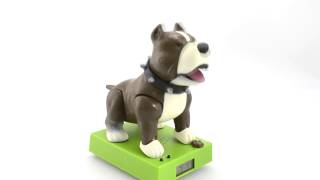 Talking Dog Alarm Clock - Find Me A Gift