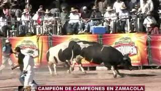 14-04-2013 ADELANTO DE LO QUE CONTIENE EL DVD DE CAMPEON DE CAMPEONES  " ENTRE ASTADOS "