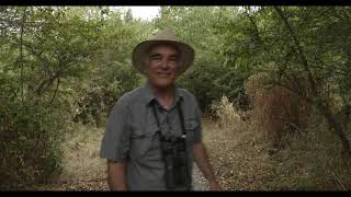 Circle of Life: Buttertubs Marsh full episode