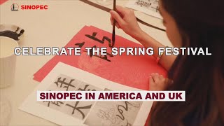 Celebrate the Spring Festival