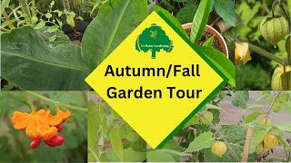 Autumn/Fall Garden Tour