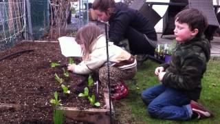 Kids planting a raised-bed organic home vegetable garden