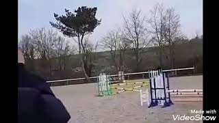 Randis girl evie 90cm clear round comp