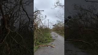 Super Typhoon Mawar aftermath in Guam (outside of Andersen Air Force Base) #guam #mawar #aftermath