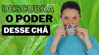 CAPIM CIDREIRA: para que serve, como usar e cultivar