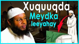 Xuquuqda meydku leeyahay sheekh maxamuud xaliike