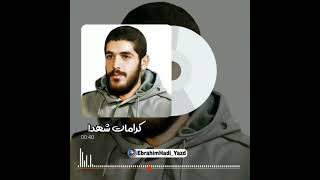 کرامات شهید هادی