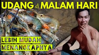 MAU MAKAN UDANG, TINGGAL AMBIL DI SUNGAI PEDALAMAN KALIMANTAN