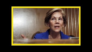 Warren 'glad' about treasury ig's quick response to probe request for no-show tax analysis from mnu