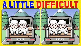 🧠🧩Spot the Difference | Want to Improve Your Puzzle Skills FAST? Watch This Now《A Little Difficult》