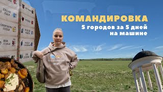 Еду в командировку по 5 городам России | съемки, отели, еда