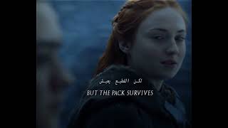 "But The Packs Survives" House Starks🕊