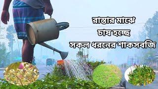 রাস্তার মাঝে চাষ হচ্ছে সকল ধরনের শাক-সবজি