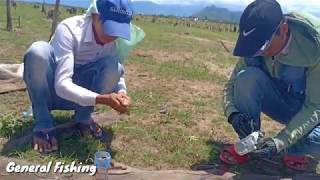 Videos fishing | fly Fishing | Snake head Fishing in Ta Sal DAM | Fishing Mountain DAM for Food