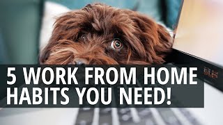 Work From Home Tips: 5 Habits That You NEED When Making Money From Home