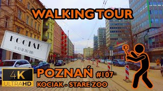 ⁴ᴷ⁶⁰ 🇵🇱 Poznan, Poland | Walking Tour | #107 - Kociak - Zoo (March 2023) [4K]