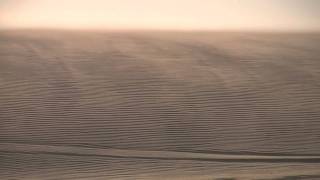 Æolian Suspension at Coastal Dunes