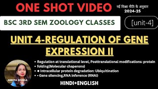 Bsc 3rd sem zoology classes|unit-4|one shot video of Regulations of Gene Expression -II|#bsc3rdsem