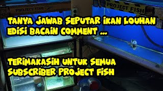 Tips Progress dan Merawat Ikan Louhan | Rawatan Harian Ikan Louhan