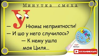 Минутка смеха Отборные одесские анекдоты 630_й выпуск