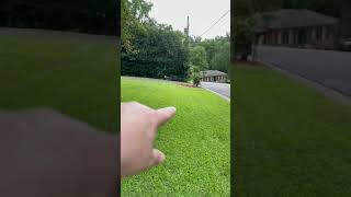 LawnBright Update Review #shorts @lawnbright lawn bright subscription company vs Sunday Lawn Care