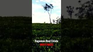 1.6 Acre land for sale in Vagamon | 9961178823