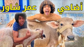 جميع أضحية عمر شاور في عيد الأضحى! | شاور في العيد