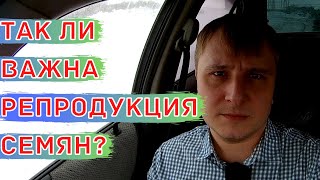 Как репродукция семян влияет на урожайность