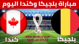 موعد مباراة بلجيكا وكندا كأس العالم 2022/القنوات الناقلة ومعلق المباراة