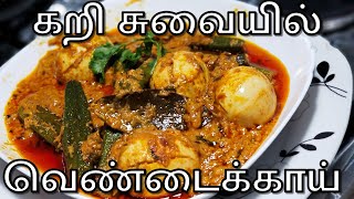 நான்வெஜ் சுவையில் | Vendakkai Gravy | Vendakkai Masala | Vendakkai Kulambu