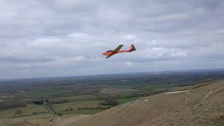 Mini Bee and Quark at Uffington White Horse