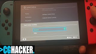 NINTENDO SWITCH TOUCHSCREEN TOUR - How to Use It and What It's Like