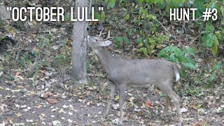 Crazy Mid-October hunting in OHIO | Hunting a mock scrape