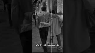 أجمل الكلمات من قصيده ( رفيق الدرب ) 👫