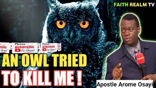 AN OWL TRIED TO KILL ME 😳 _  APOSTLE AROME OSAYI