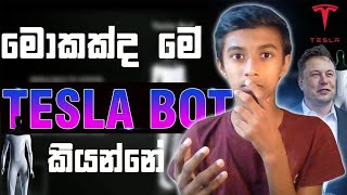 All about Tesla Bot in Sinhala | රැකියා අනතුරේද?