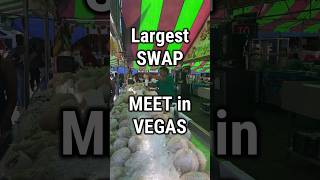 Largest Swap Meet in VEGAS 🔥 #streetfoods #lasvegas #vegasfood #foodie #vegaslocals #lasvegaslocal