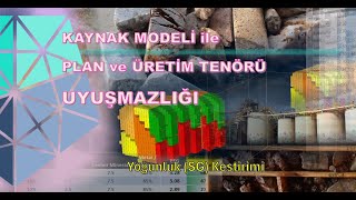 Kaynak Modeli ile Plan ve Üretim Tenörü Uyuşmazlığı: Yoğunluk (SG) Kestirimi