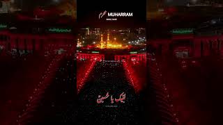 Labbaik Ya Hussain (s.a) ❤🥺🌍 लब्बैक या हुसैन (स.अ.) ❤🥺🌍