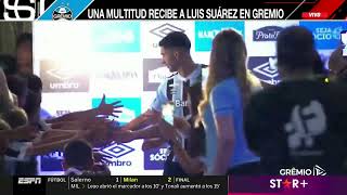 Luis Suárez Presentation As A Gremiro Player