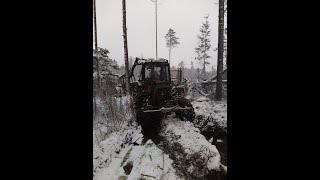 MTZ in forest