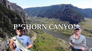 She Caught a MONSTER TROUT from the BIGHORN CANYON!!! - Fishing Montana