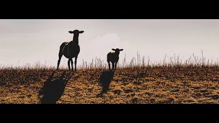 EVANGELIO DE HOY 7 de NOVIEMBRE  20 24 hd