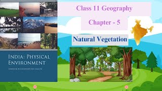 Natural Vegetation Full Chapter | Class 11 Geography NCERT Chapter 5