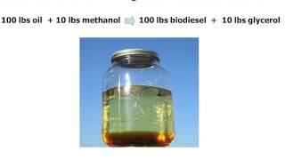 Biodiesel Basics