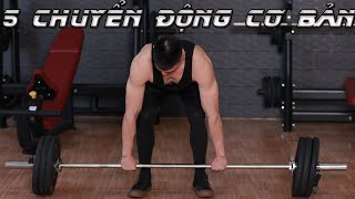 5 Nhóm Bài Tập Chuyển Động Cơ Bản Tất Cả Người Mới đi tập Gym cần phải biết | Nguyễn Hoàng Gym